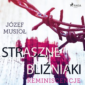 Straszne Bliźniaki. Reminiscencje – audiobook