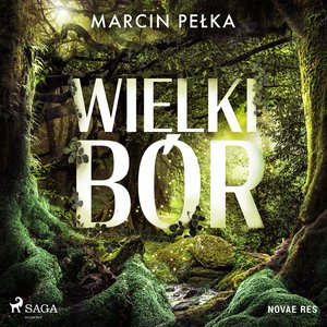 Wielki Bór – audiobook