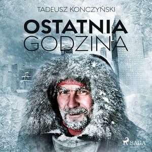 Ostatnia godzina – audiobook