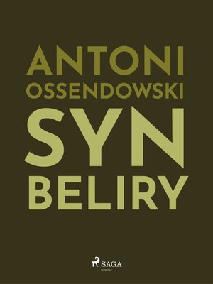Syn Beliry &ndash; ebook