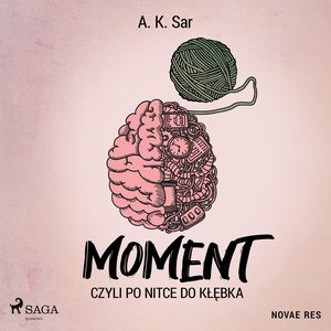 Moment, czyli po nitce do kłębka – audiobook