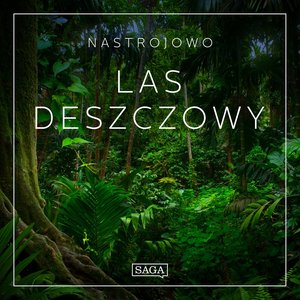 Nastrojowo - Las Deszczowy – audiobook