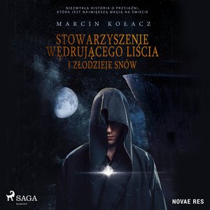 Stowarzyszenie wędrującego liścia i złodzieje snów – audiobook