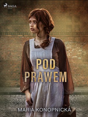 Pod prawem – ebook