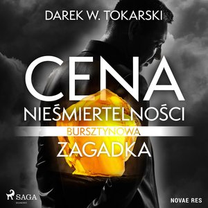 Cena nieśmiertelności. Bursztynowa zagadka – audiobook