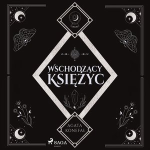 Wschodzący Księżyc. Trylogia Dnia i Nocy. Tom 2 &ndash; audiobook