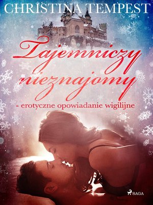 Tajemniczy nieznajomy - erotyczne opowiadanie wigilijne &ndash; ebook