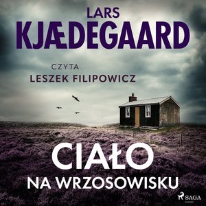Ciało na wrzosowisku – audiobook