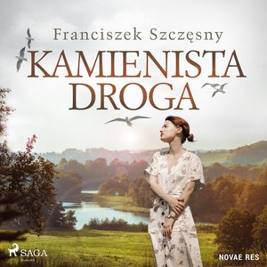 Kamienista droga – audiobook