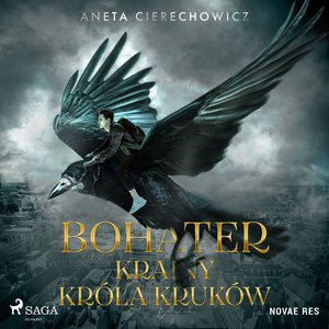 Bohater Krainy Króla Kruków – audiobook