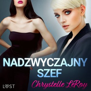 Nadzwyczajny szef - opowiadanie erotyczne – audiobook