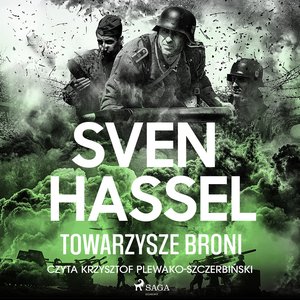 Towarzysze broni – audiobook
