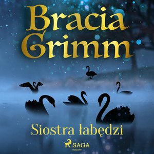 Siostra łabędzi – audiobook