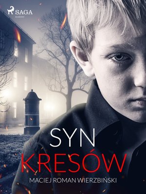 Syn Kresów – ebook
