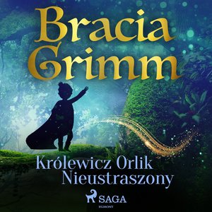Królewicz Orlik Nieustraszony – audiobook