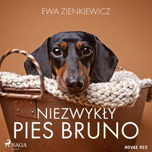 Niezwykły pies Bruno – audiobook