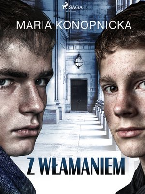 Z włamaniem – ebook