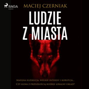 Ludzie z miasta – audiobook