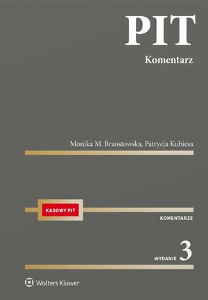 PIT. Komentarz 2025 – ebook