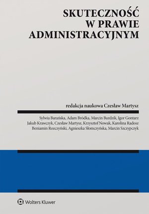 Skuteczność w prawie administracyjnym – ebook
