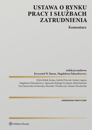Ustawa o rynku pracy i służbach zatrudnienia. Komentarz &ndash; ebook