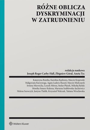 Różne oblicza dyskryminacji w zatrudnieniu – ebook
