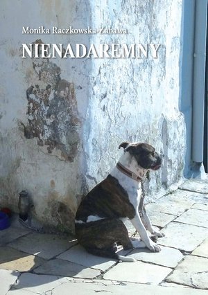 NIENADAREMNY – ebook