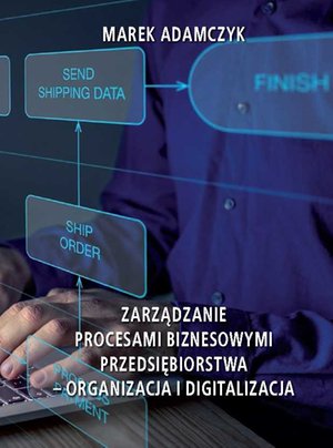 Zarządzanie procesami biznesowymi przedsiębiorstwa - organizacja i digitalizacja – ebook