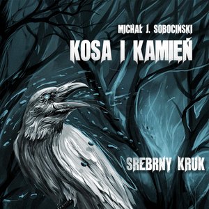 Kosa i kamień – audiobook