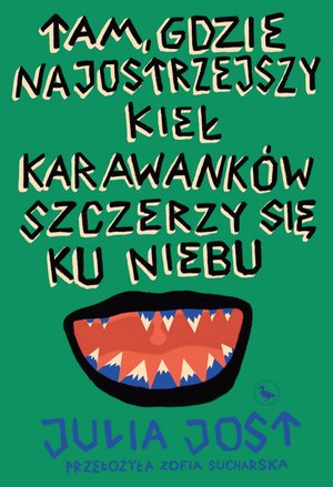 Tam, gdzie najostrzejszy kieł Karawank&oacute;w szczerzy się ku niebu &ndash; ebook
