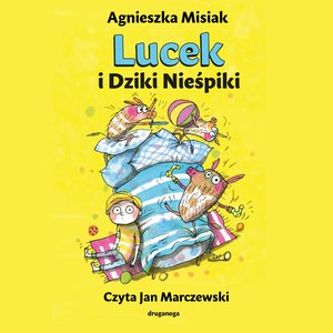 Lucek i Dziki Nieśpiki &ndash; audiobook