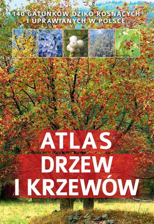 Atlas drzew i krzewów – ebook