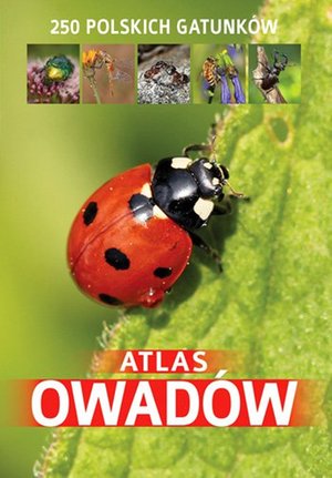 Atlas owadów. 250 polskich gatunków – ebook