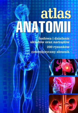 Atlas anatomii – ebook