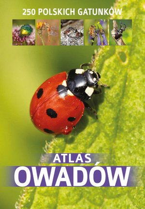Atlas owadów – ebook