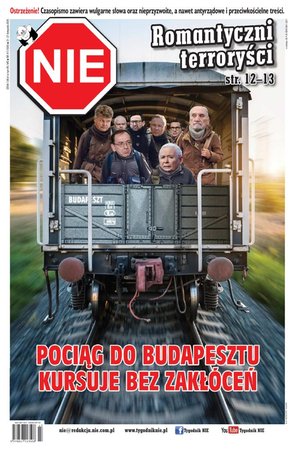 NIE – e-wydanie – 47/2025