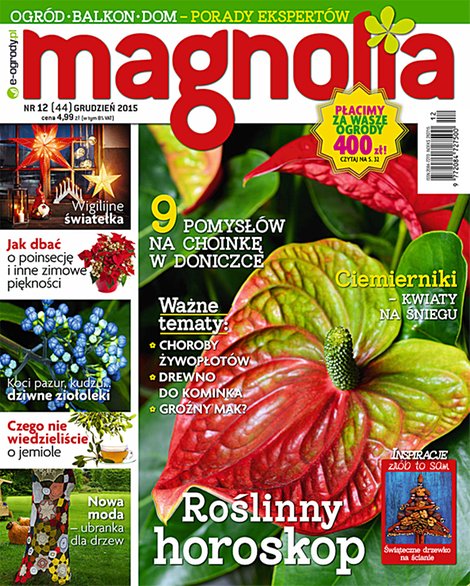 ebooki: Magnolia 12/2015 &ndash; ebook