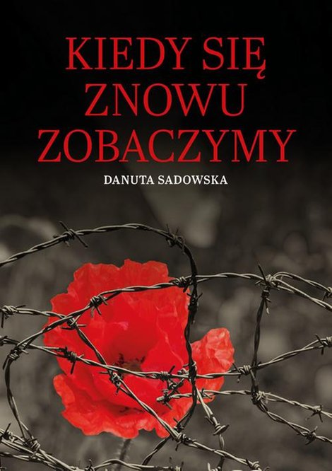 ebooki: Kiedy się znowu zobaczymy &ndash; ebook