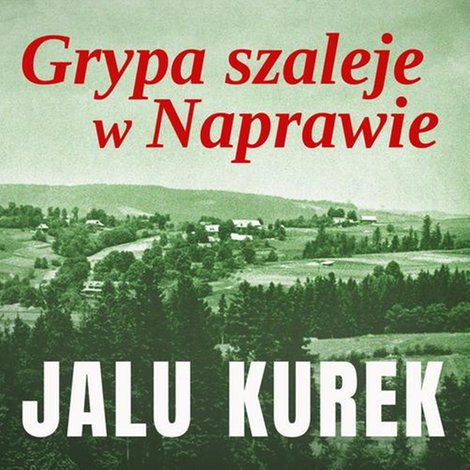 audiobooki: Grypa szaleje w Naprawie &ndash; audiobook