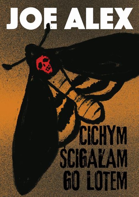 ebooki: Cichym ścigałam go lotem &ndash; ebook