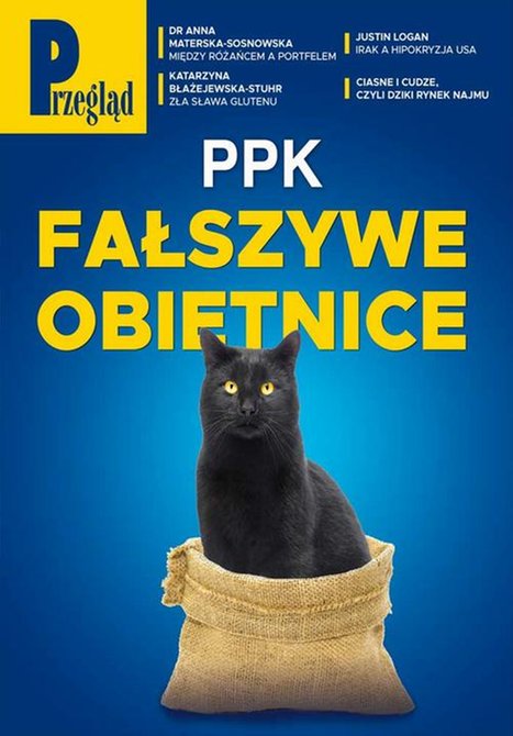 ebooki: Przegląd. 13 &ndash; ebook