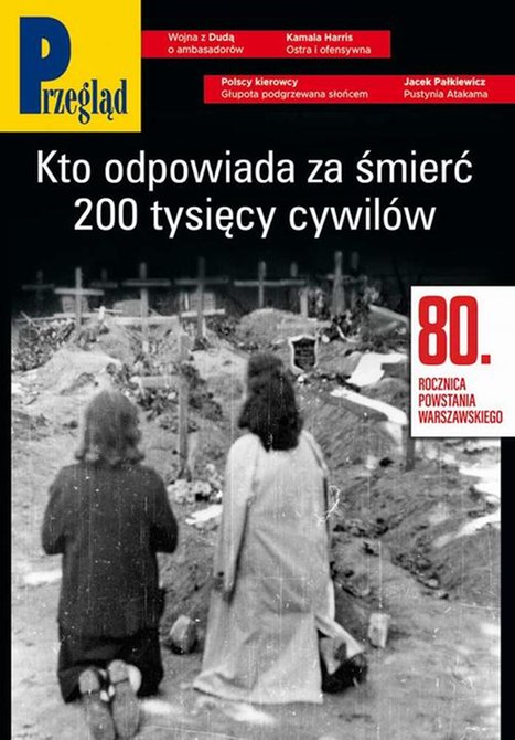 ebooki: Przegląd. 31 &ndash; ebook
