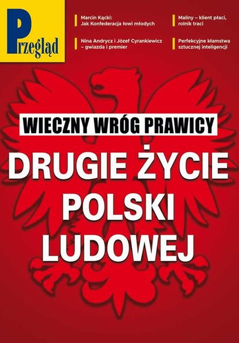 ebooki: Przegląd. 29 &ndash; ebook