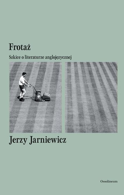 ebooki: Frotaż Szkice o literaturze anglojęzycznej &ndash; ebook