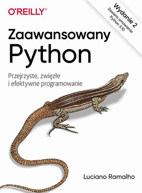 ebooki: Zaawansowany Python, wyd. 2. Przejrzyste zwięzłe i efektywne programowanie &ndash; ebook