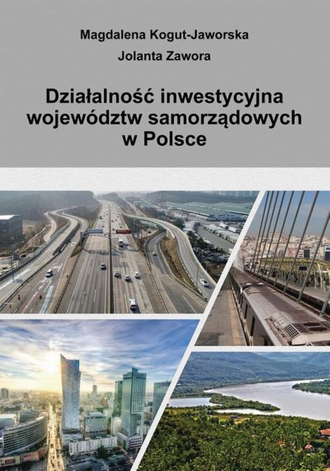 ebooki: Działalność inwestycyjna wojew&oacute;dztw samorządowych w Polsce &ndash; ebook