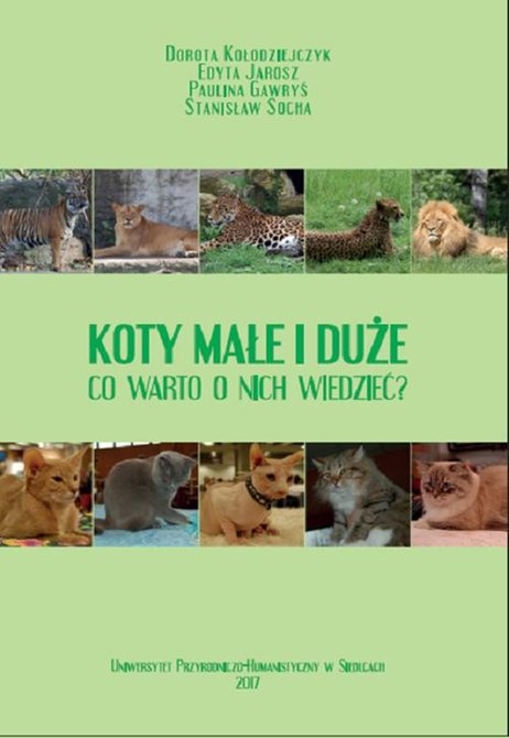ebooki: Koty małe i duże. Co warto o nich wiedzieć? &ndash; ebook