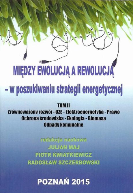 ebooki: Między ewolucją a rewolucją - w poszukiwaniu strategii energetycznej Tom 2 &ndash; ebook