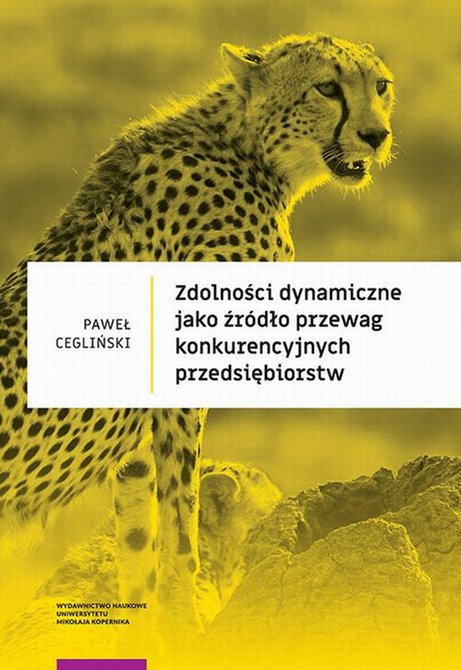 ebooki: Zdolności dynamiczne jako źr&oacute;dło przewag konkurencyjnych przedsiębiorstw &ndash; ebook