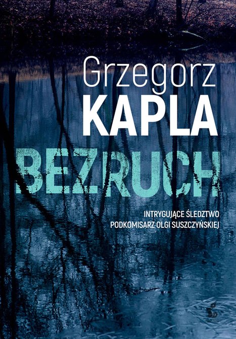 ebooki: Bezruch &ndash; ebook